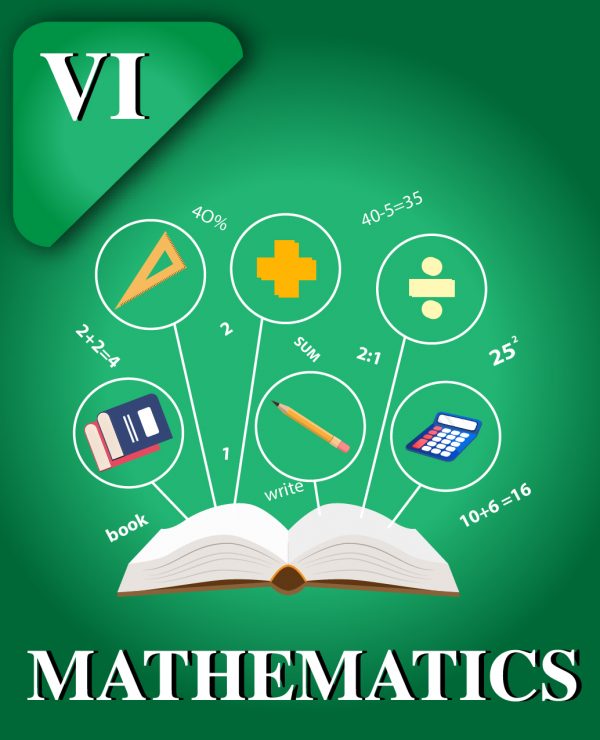 CBSE Class VI Mathematics Course