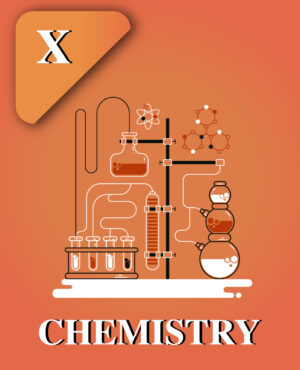 CBSE Class X Chemistry Course