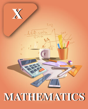 CBSE Class X Mathematics Course